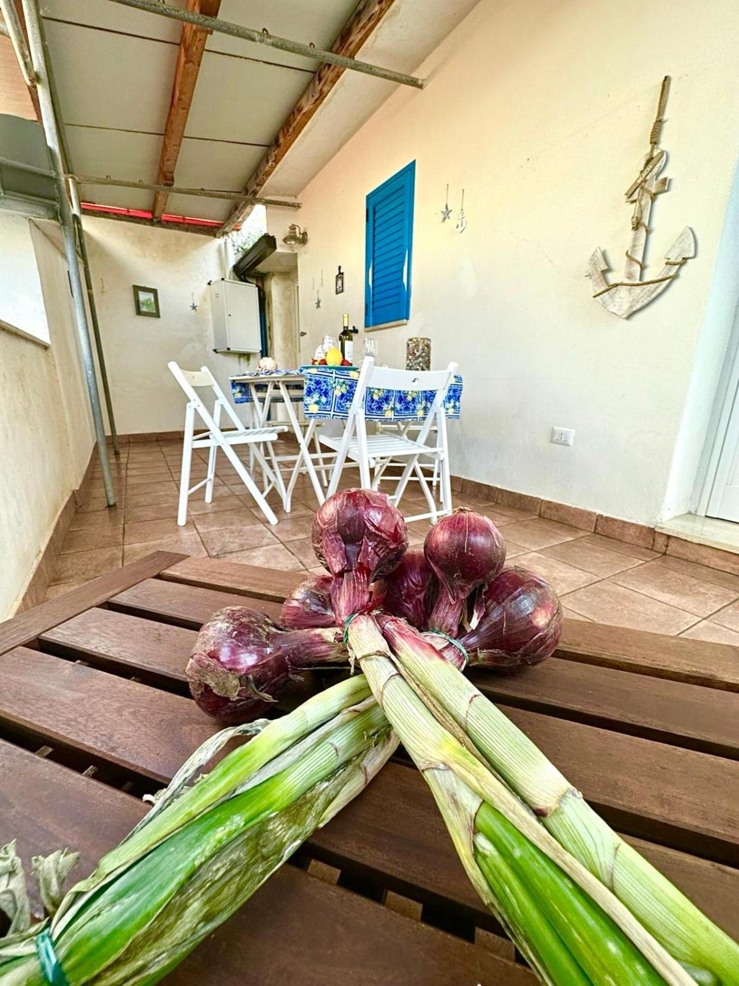 Dilettaanna Apartment With Private Garden Tropea Zewnętrze zdjęcie